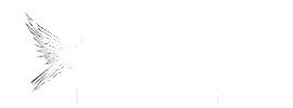 Fawkes Focus
